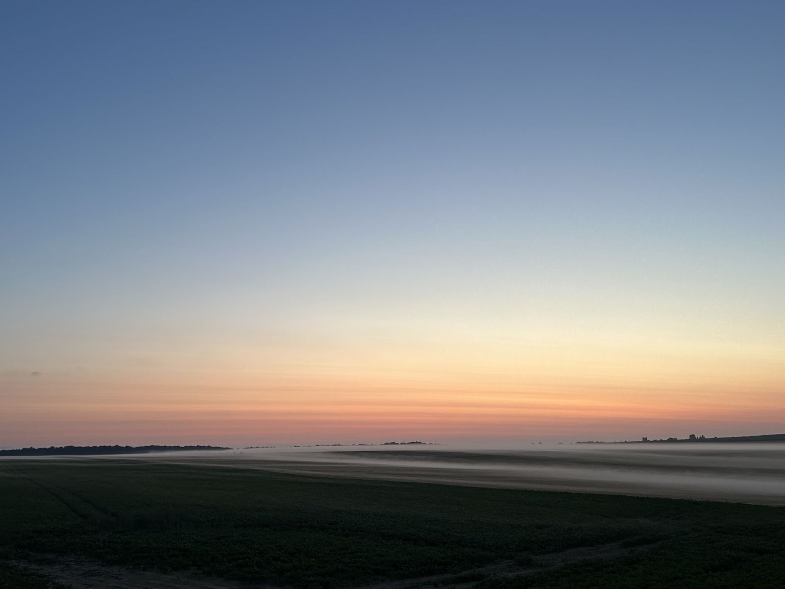 Le jour se lève sur les cultures, brume au ras des champs