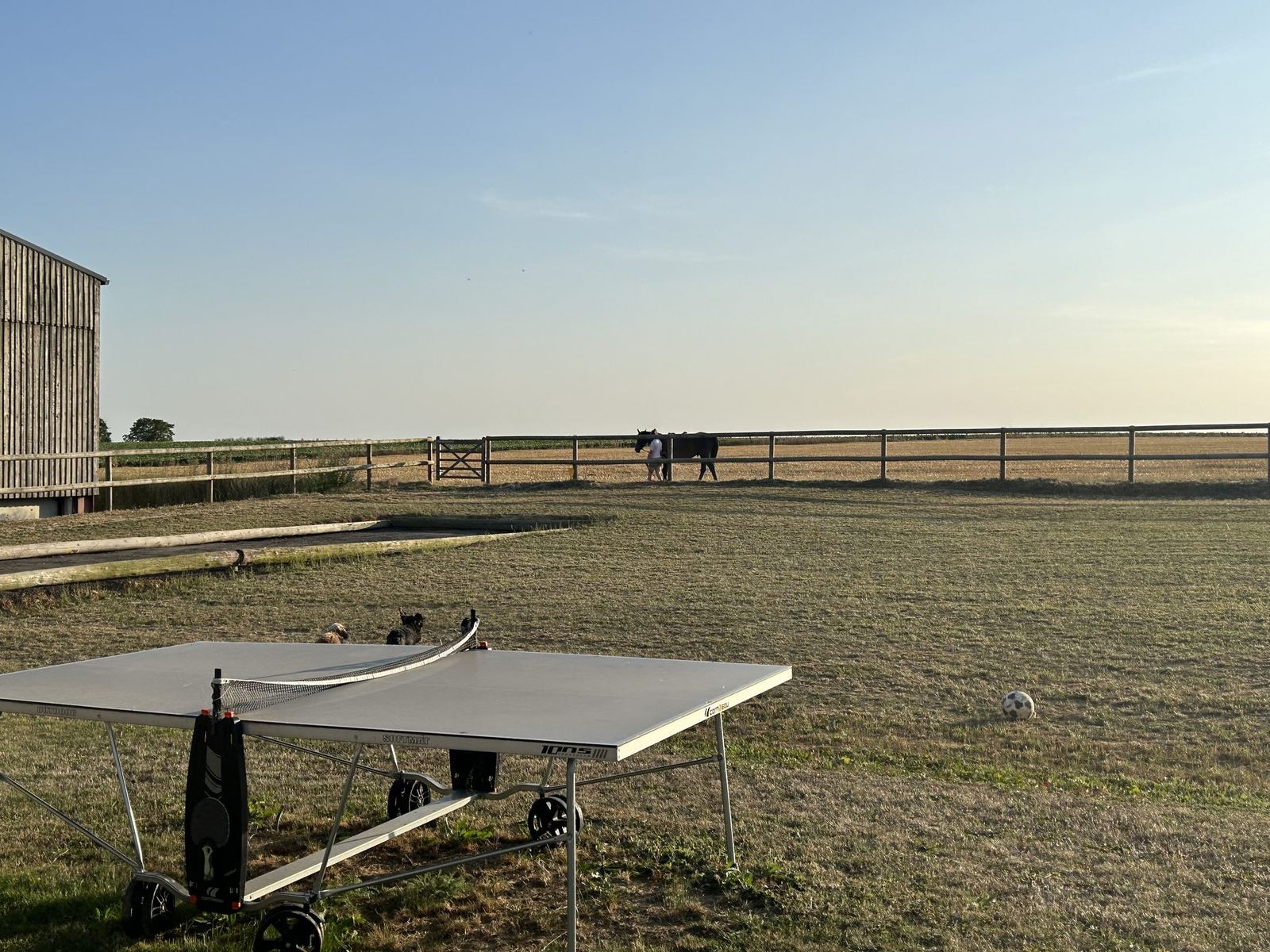 La table de ping-pong, au bord du pré